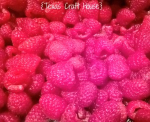 {Texas Craft House} Chocolate filled raspberries - the best and easiest snack to make for any party or shower... it looks pretty too!